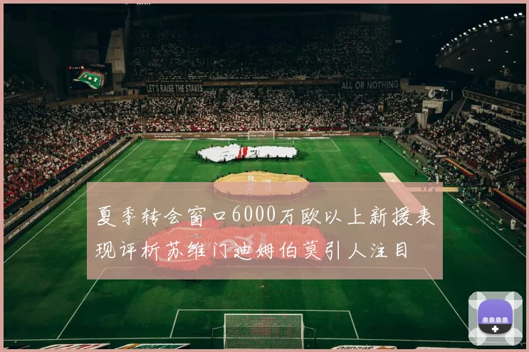 夏季转会窗口6000万欧以上新援表现评析苏维门迪姆伯莫引人注目