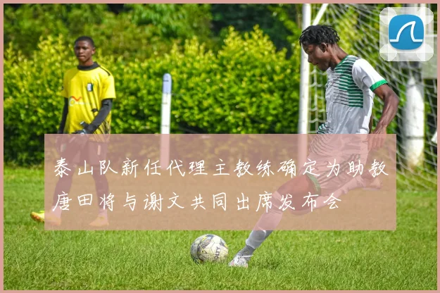 泰山队新任代理主教练确定为助教唐田将与谢文共同出席发布会